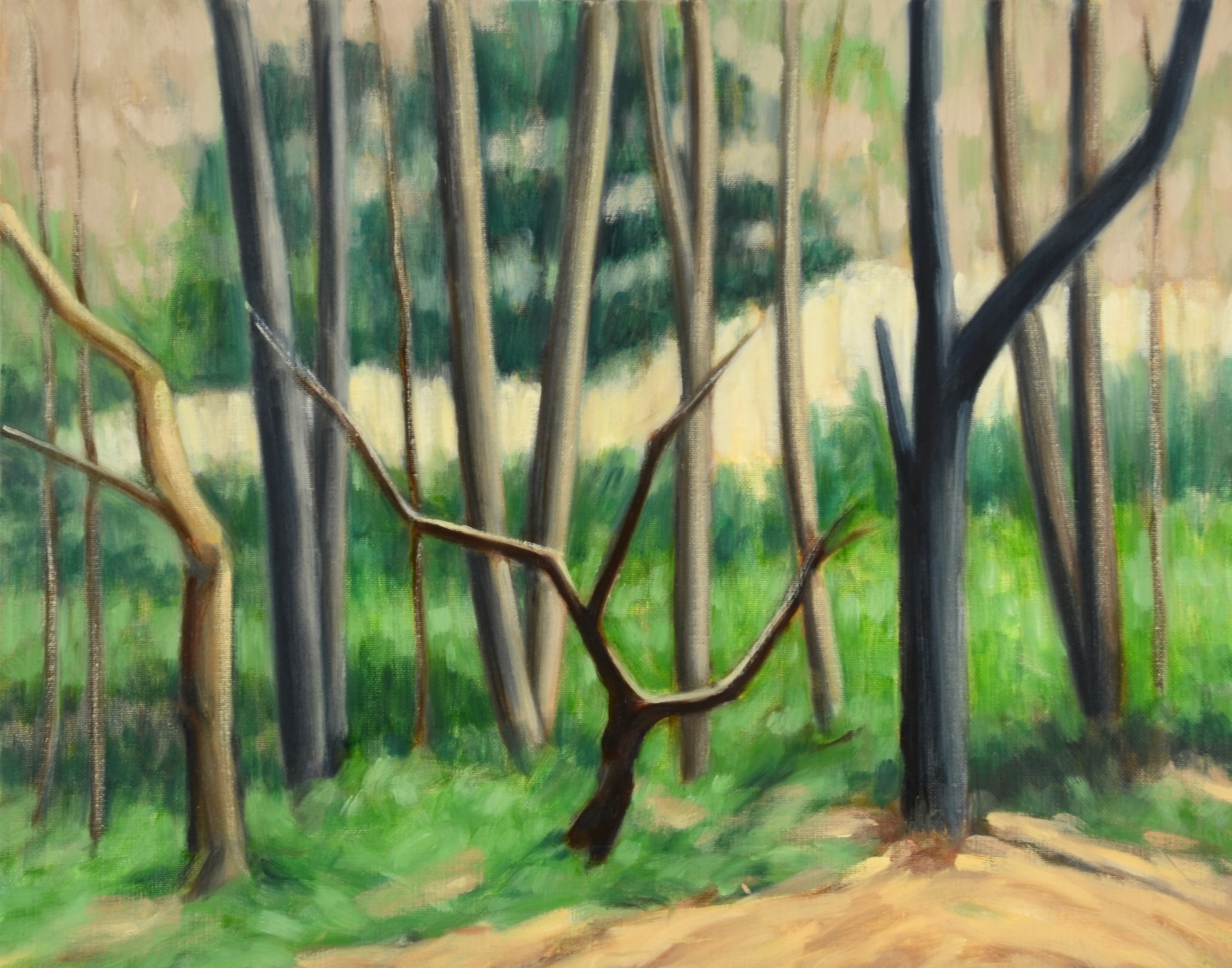 Spring Woods, 16x20 inches, oil on canvas, 2022